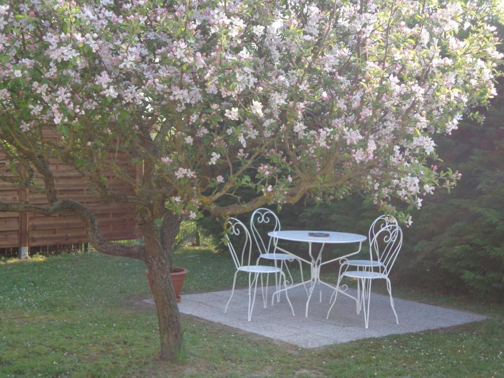 La Grille Dorée Amboise Esterno foto